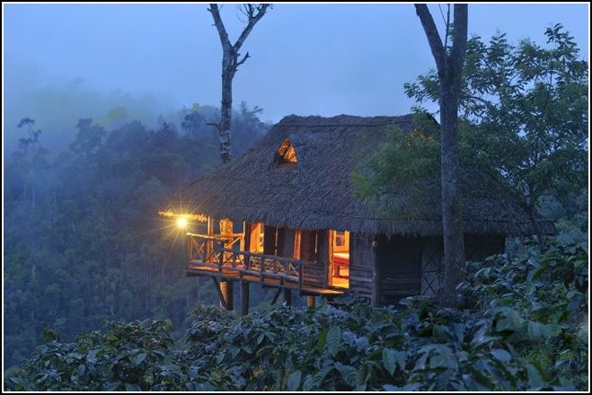  Top 5 Honeymoon Destinations in Kerala