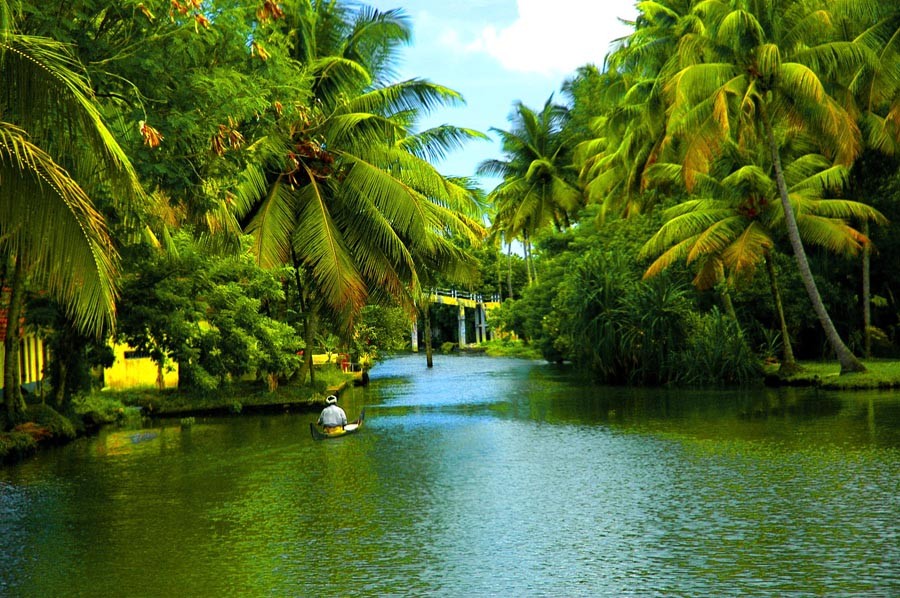 7 Nights 8 Days Miracles of Kerala Tour