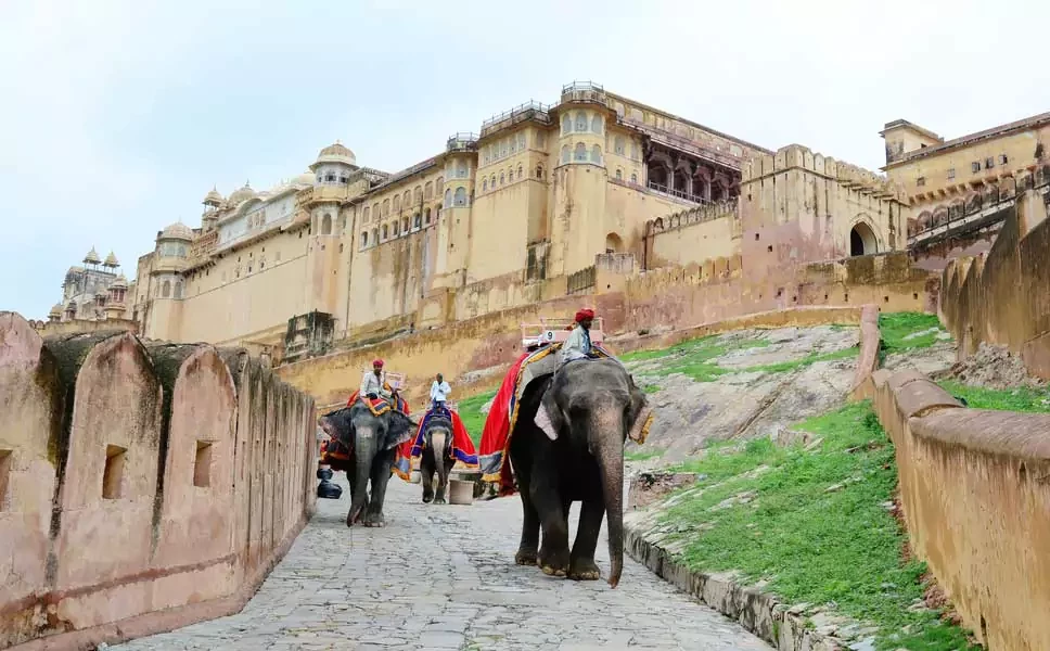 elephant ride jaipur