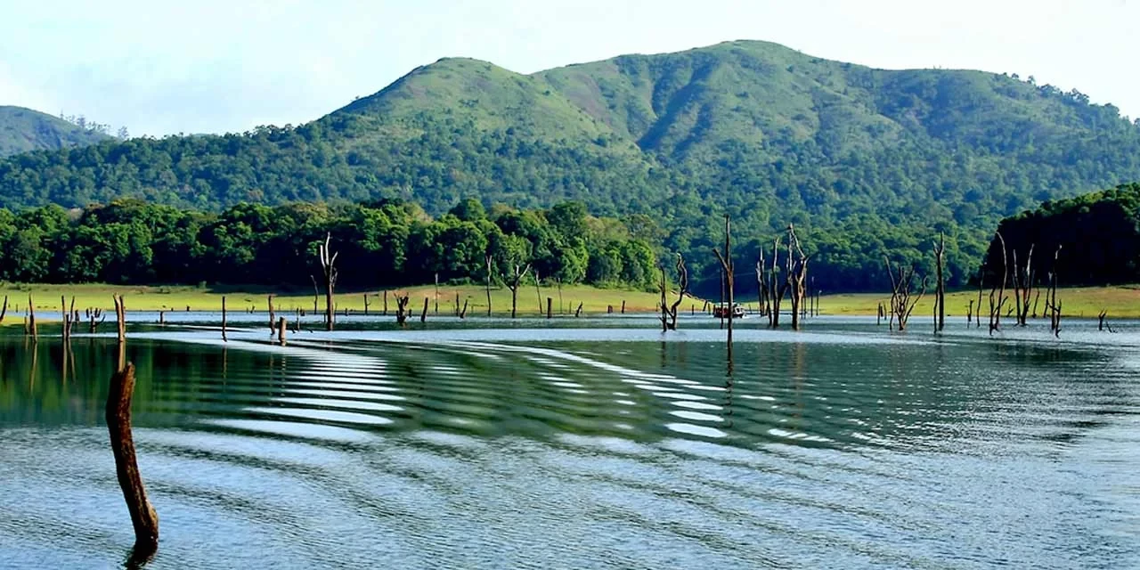 periyar tour